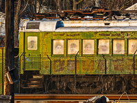 Abandon Rail Car, 2018