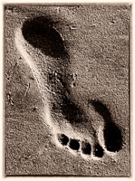 Villas  Footprint, 2009